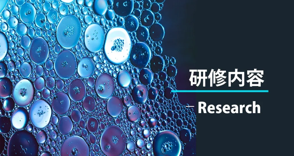 研修内容